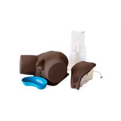 Catheterization Trainer Set, standard 
