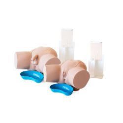 LT60854-Advanced Catheterization Trainer Set (light Skin Tone)
