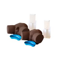 Advanced Catheterization Trainer Set Male and Female (Dark Skin tone)