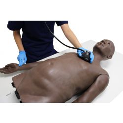 CaRe Cardiovascular and Respiratory  Examination Trainer