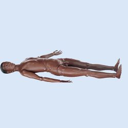 Nursing Manikin Special Model "Skills Meducation”