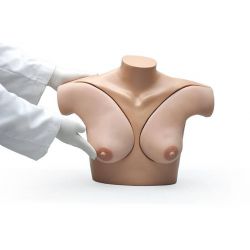 Breast Examination Skills Trainer Torso