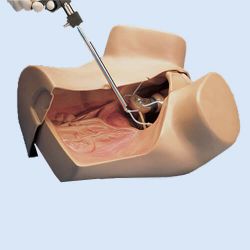 ZOE® Gynecologic Simulator