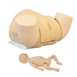 Kyoto Kagaku Obstetric and childbirth exercise model, extended