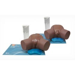 LT60872-Advanced Catheterization Trainer Set (Dark Skin Tone)