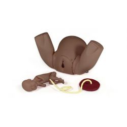 Birthing Simulator PROMPT Flex - Standard (Dark Skin Tone)