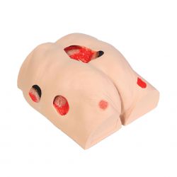 Wound Care Model Seymour