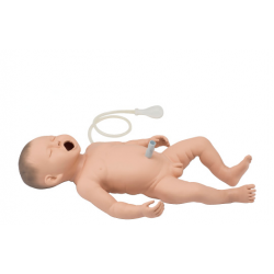 Neonatal Resuscitation Model