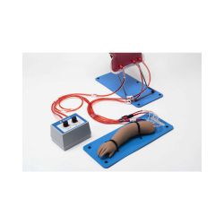 Newborn IV and Arterial Access Training Arm S408.100