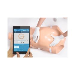 NOELLE®  - Automatic Childbirth Skills Trainer Torso with OMNI® 2