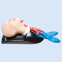 AirSim Child Combo Bronchi X