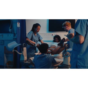 Limbs & Things Maya Birthing Simulator