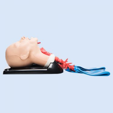 Airsim Combo Bronchi X